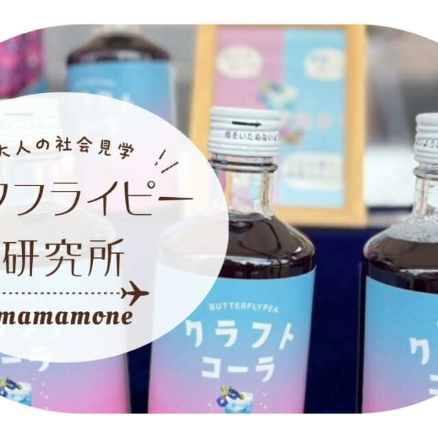 大人の社会見学｜沖縄の青い恵み・バタフライピー！ママと子どもにやさしい魅力とは？