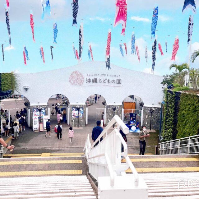 沖縄市 | 子どもと一緒に、今日はどこ行く？“また行きたい”が見つかる沖縄こどもの国レポ