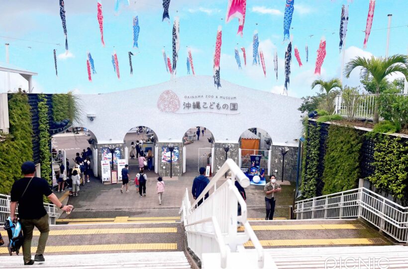 沖縄市 | 子どもと一緒に、今日はどこ行く?“また行きたい”が見つかる沖縄こどもの国レポ