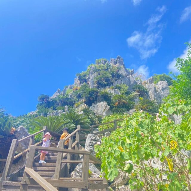 沖縄北部｜幼稚園児も完歩！旧大石林山『ASMUI Spiritual Hikes』家族5人のやんばる体験レポート