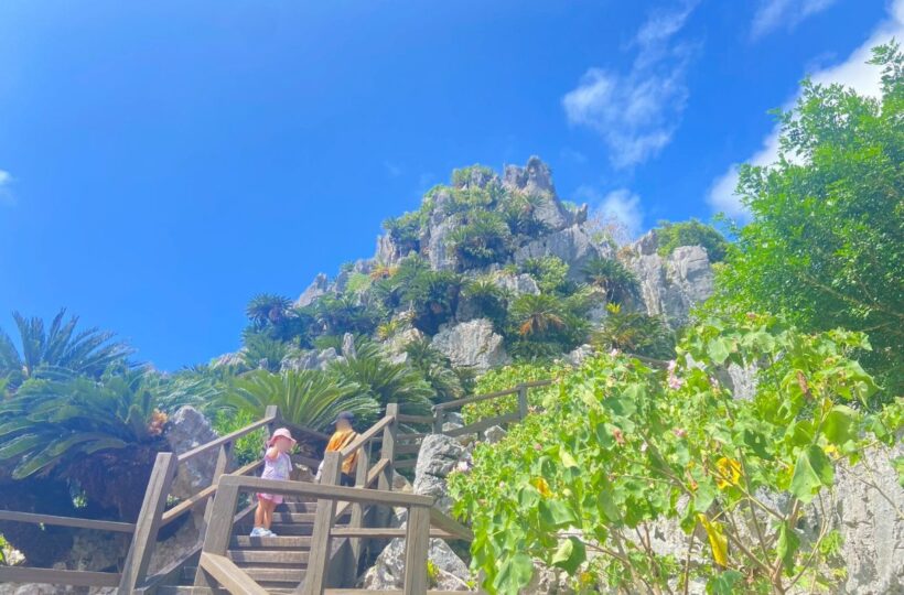 沖縄北部｜幼稚園児も完歩！旧大石林山『ASMUI Spiritual Hikes』家族5人のやんばる体験レポート