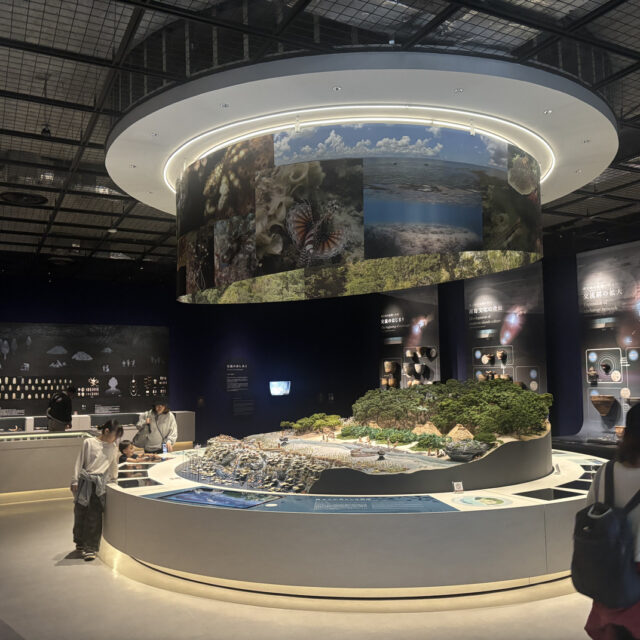 北谷町｜「北谷町立博物館」は“縄文×芝生×ゆんたく”が心地いい穴場スポット