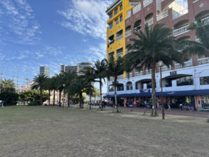 北谷町 | コーヒーを飲みながら子どもと遊べる芝生スポット