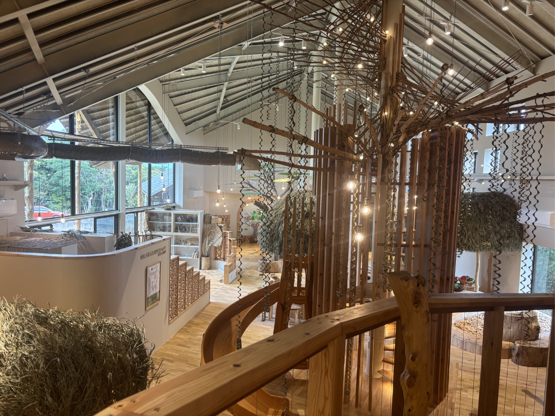 国頭村｜やんばる森のおもちゃ美術館がリニューアル！プレイエリア約4倍で広がる木育の遊び場
