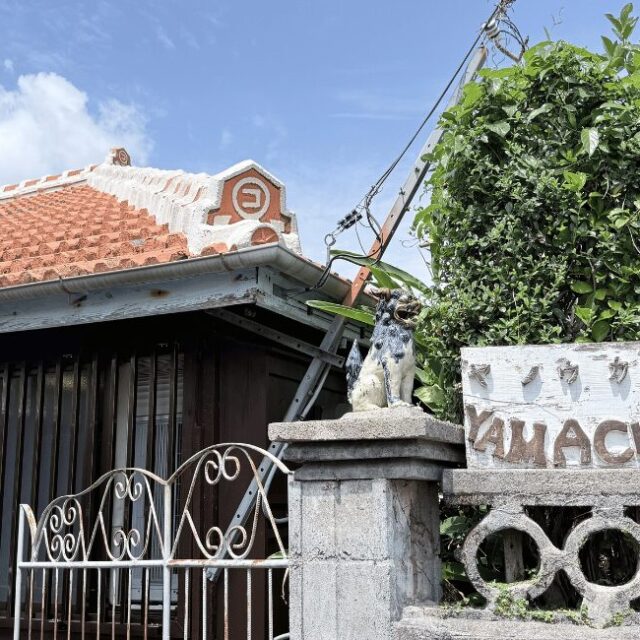 沖縄市｜古民家カフェで子連れも安心！ヤソウカフェyamachaの発酵ごはんが最高だった